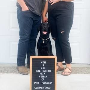 Meet your Posher, Jade